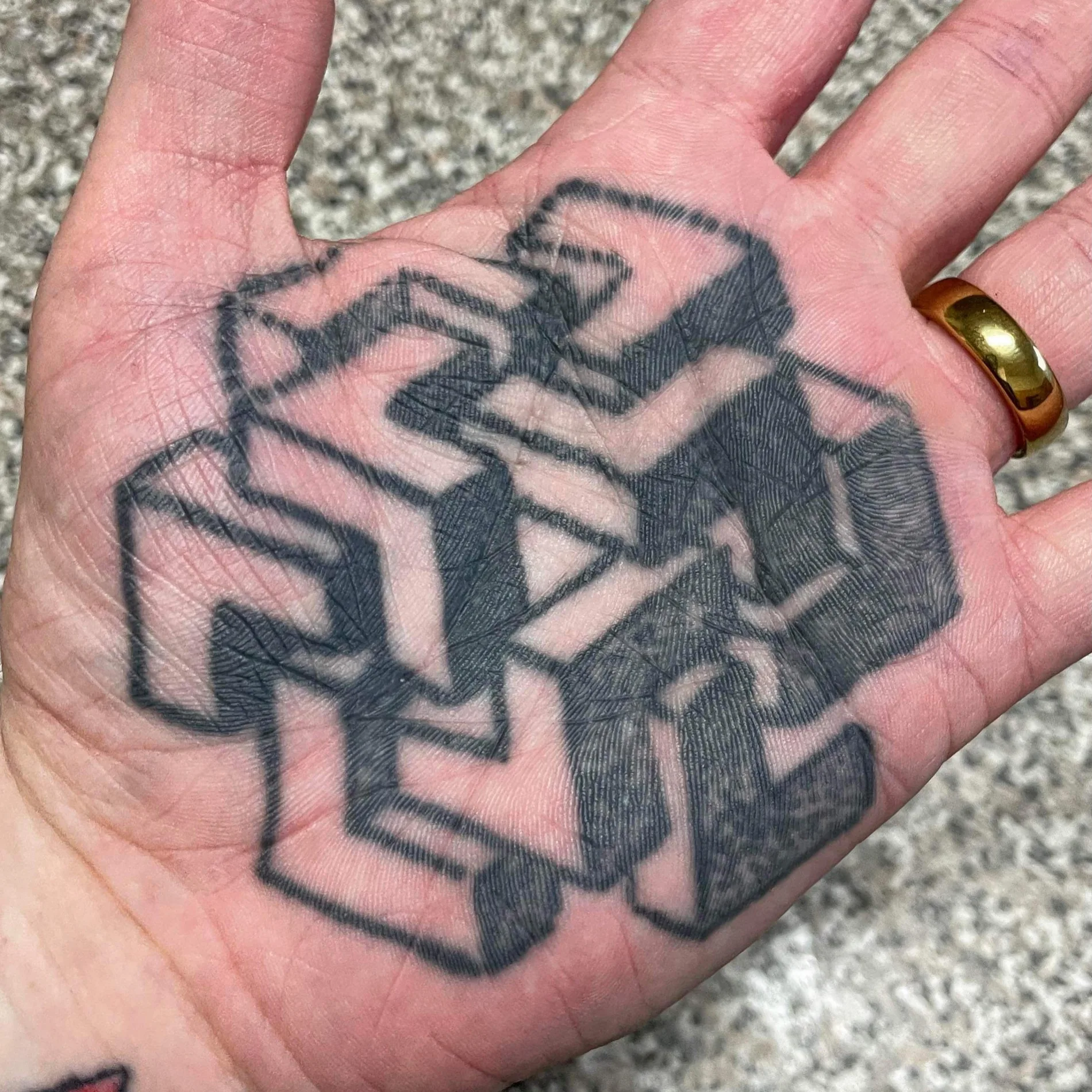 Two-year healed palm